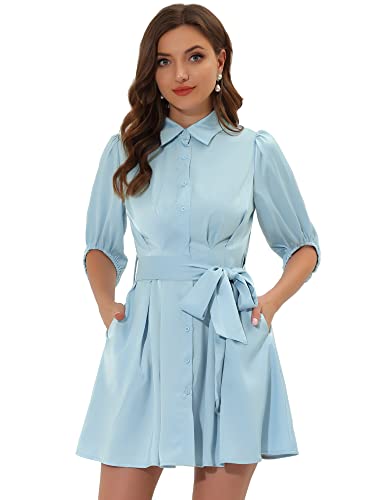 Allegra K Women's Elegant Half Sleeve Solid Pleated Waist Belted Button Down Shirt Dress Light Blue 8