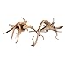 emours Driftwood Branches Reptiles Aquarium Decoration Assorted Size,(5.5-8 inch in Length),4 Pieces (Spider Wood)