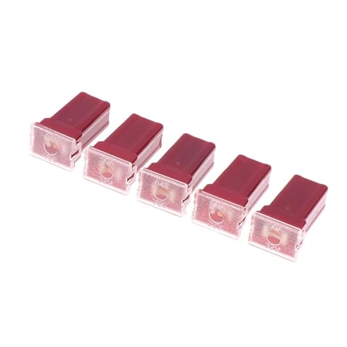 Juego de 5 fusibles mini cuadrados para automóvil: 20A, 30A, 40A, 50A, 60A, 70A, 80A, 90A, 100A y 120A, con caja de plástico, marca EJHKFG, modelo EJHKFG03