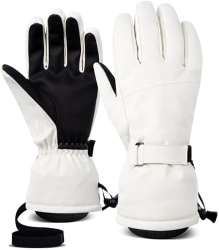 VoyageViewqpXL[܁At[XnAjp5{w܁A^b`XN[ΉAhAۉAhA~߁AAϖՐAVсAʊwAoRɍœKłB (A,M) [sAi]