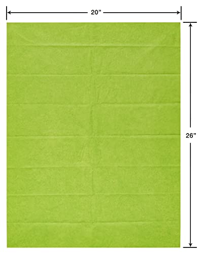 Image of Papyrus 8 Sheets 20 in. x 26 in. Lime Green Tissue Paper for Fathers Day, Graduation, Birthdays and All Occasions