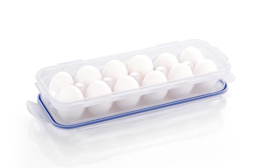 Image of Stewit Plastic Egg Tray for Fridge - Space-Saving Storage Box for 12 Eggs | Sturdy & Stylish Egg Organizer (12 Grid,Transparent)