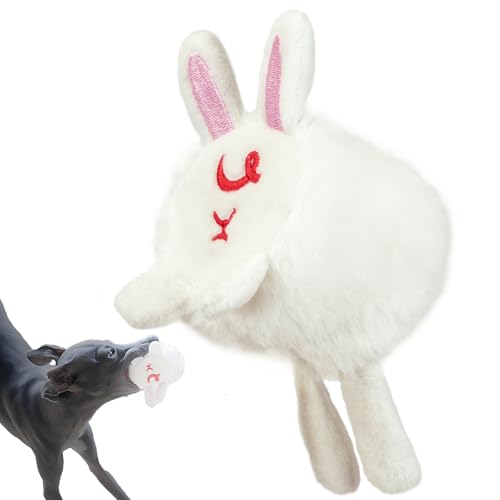 monuiɂjp   ʂ lV XgX 5WJ furfolk