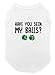 Have You Seen My Balls? - Funny Dog Toy Pun Dog Shirt (White, X-Small)