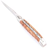 LAGUIOLE EN AUBRAC L