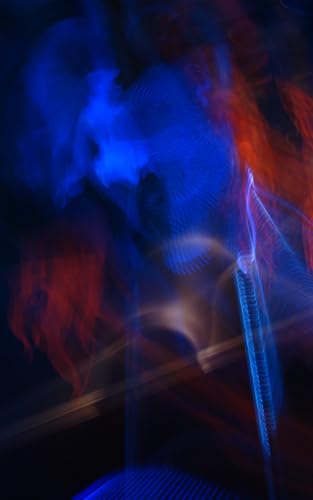 Curse of the Fae King (Dark Faerie Court)