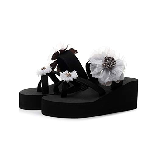 [JINFE] 傫TCY T_ r[`T_ O[  T_ Ladies fB[X    R[f rT_ gOT_ 킢 r[`T_  y 23.5cm r r[T fB[X