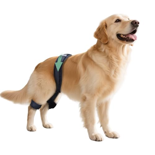 Adjustable Dog Leg Brace for Hip Dysplasia,Breathable & Supportive Dog Hip Brace for Pain Relief, Preventing and Improving Joint Dysplasia Hip Brace for Dogs,XL