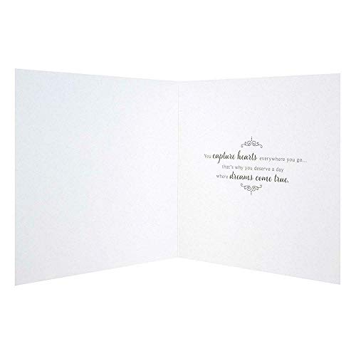 Hallmark Disney Princess ritratti della Bella