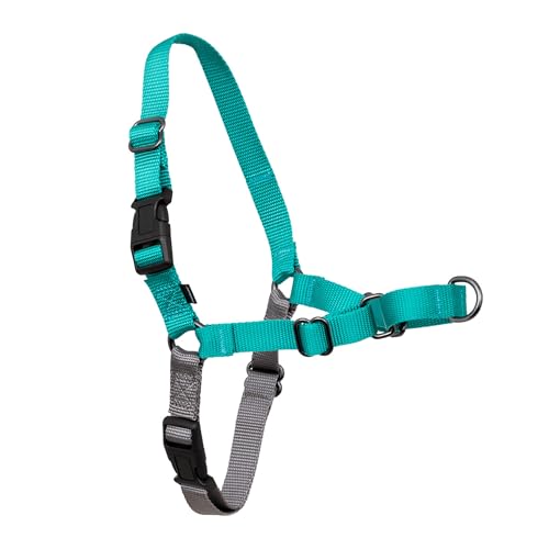 PetSafe Easy Walk Harness for Dogs - Pull-Free Walks - Patented Martingale Loop Design - Front Chest Leash Attachment - Comfort Straps - Breathable Harness Design - Large, Teal/Gray
