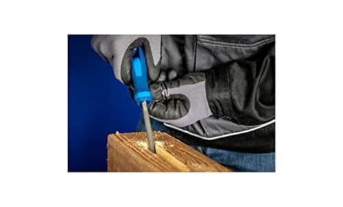 PFERD Runde Holzraspel, 250mm, runde, spitz zulaufende Feile, umlaufender Raspelhieb H2, inkl. Ergonomie-Feilenheft, 11234257 – speziell für universelle Schrupp- und Schlichtarbeiten geeignet