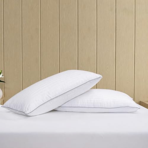Image of LANE LINEN Hollow Fiber Sleeping Pillows Set of 2 (16 inchx24 inch) - Soft and Fluffy | Bed Pillow for Back, Stomach or Side Sleepers - Hotel Quality | Comfortable & Durable - White