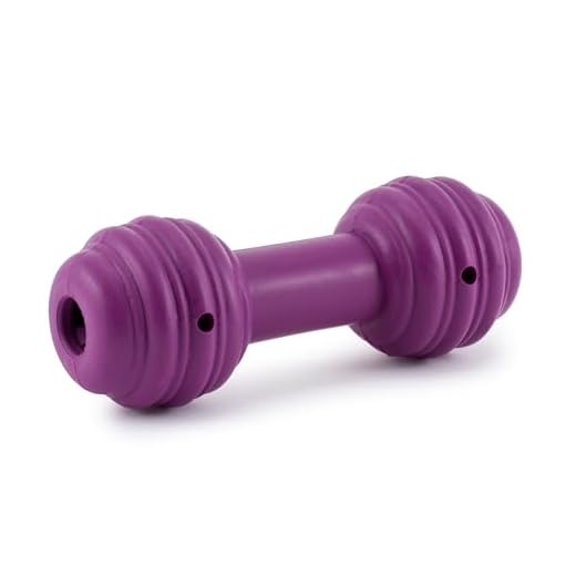 Busy Buddy Chuckle, Interactive Treat Dispensing Dog Toy, Chew Toy with Engaging Noise