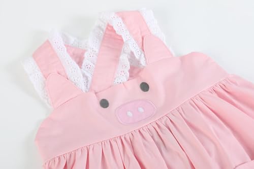 Baby Girls and Toddler Pink and Lace Piggy Dress3
