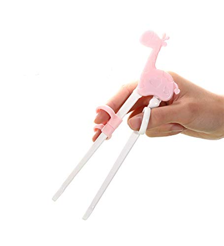 qp  g[jO  K Ep (sÑL)