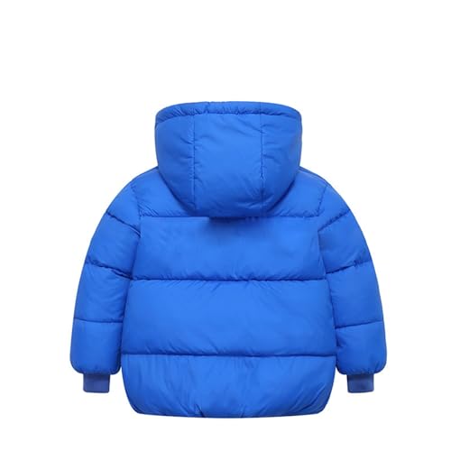 sfdgfhyf Toddler Boys Girls Winter Coat Fleece Lined Hooded Puffer Jacket with Removable Hood Down Toddler Girl3