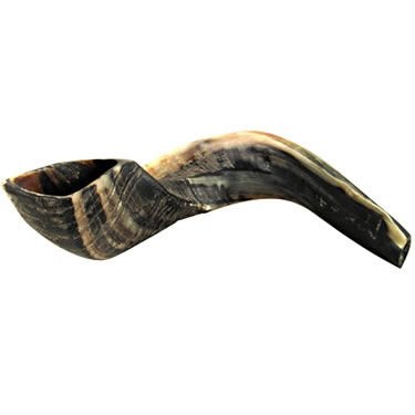 Ram's Horn Shofar Kosher Large Size 20