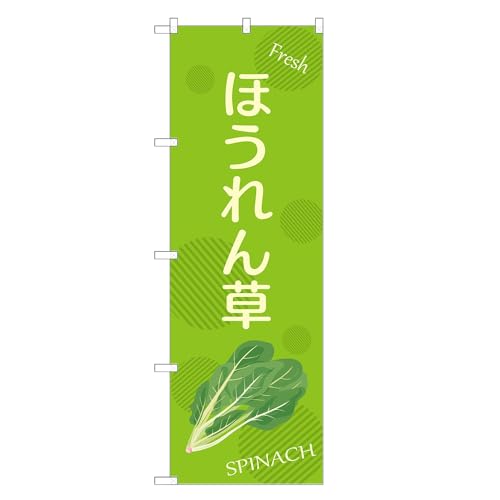 AbpII ̂ڂ ق (C,M[,``) F24-3020B-R