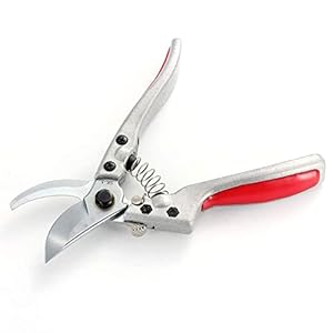 SK-5 Roestvrijstalen Secateurs, Tuin Hand Pruuner, Clipper, Perfect for nauwkeurige bezuinigingen en tuin trimmen op…