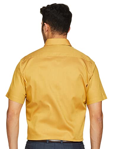 Image of Van Heusen Men's Regular Shirt (VHSH318M008211 Beige 44)