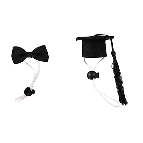 Toyvian 2 ybg̊wmZbg p[eB[ nX^[p̖Xq 