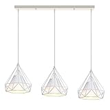 Dimensiones de la jaula: diámetro 20 cm, altura 20 cm; longitud del cable: 100 cm ajustable; soporte de techo: 50 x 5 x 2 cm.