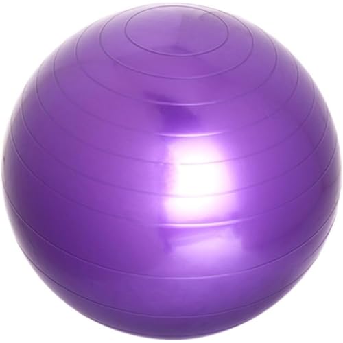 �o�����X�{�[�� ���a55cm�`95cm���K�{�[�� �A���`�o�[�X�g�d�l ��C���� �|���v�t�� �G�N�T�T�C�Y �t�B�b�g�l�X �W��/�ƂȂǂɓK�p (�p�[�v��, 95cm)