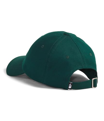 Image of THE NORTH FACE Norm Hat