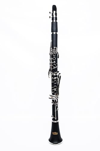 Image of GKW Professional Ebonite Bb Clarinet Set for Beginners & Intermediate Players, Silver-Plated Keys, Warm Clear Tone, Includes Hard Case, Musical Instrument for School Band