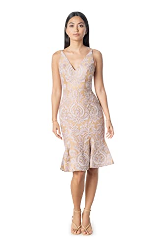 Dress the Population Women's Isabelle V-Neck Embroidered Midi Dress, Blush Multi, X-Large