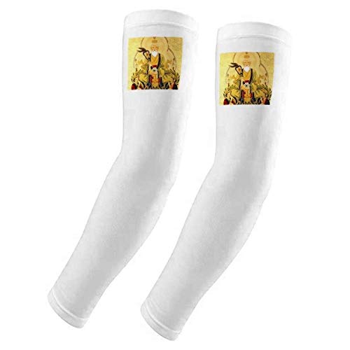 Manga para brazo protección UV de temática Dao para conducir y caminar