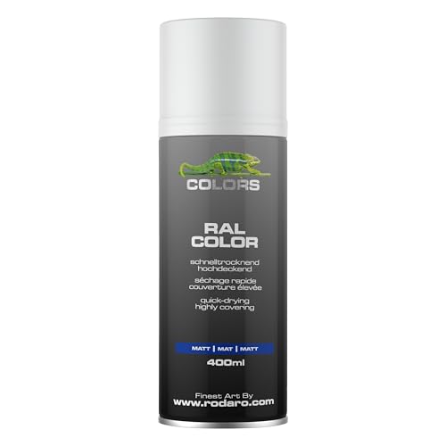 COLORS Sprühlack - 400ml Spraydose - Sprühfarbe für alle Oberflächen Innen und Aussenbereich Tolle Deckkraft | Weiss Matt