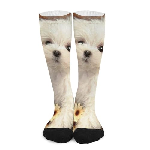 WAFICAC Calcetines de compresión con diseño de perro, transpirables, ligeros y hasta la rodilla, para hombre y mujer.