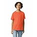 Gildan Youth Ultra Cotton T-Shirt, Style G2000B, 2-Pack, Orange, X-Small