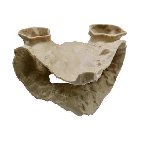 Nsawtasche Aquarium Höhle - Natürliches Kurven Aquarium Dekoration Zubehör Fisch & Garnelen Versteck für Kampffische und andere kleine Aquarienbewohner. (Sandgelb 14 * 14 * 8cm)