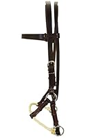 Thor Equine – 1x gebissloses Sidepull mit Single Rope Nasenriemen aus 100% Rindsleder mit Edelstahlschnallen für Pferde – Sanfte Alternative aus traditioneller Herstellung & verstellbare Schnalle