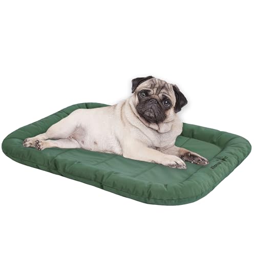 KHONSU PET vȌpxbh vŔjɂpN[gxbhA800|hjꋭxPVCnthPedxbh}bg &Op ő25|h܂ł̌p