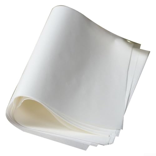 Papel absorbente de aceite de silicona para barbacoa, bandeja de parrilla, forro de alta resistencia al calor, no se derrite, desechable, paquete de 20