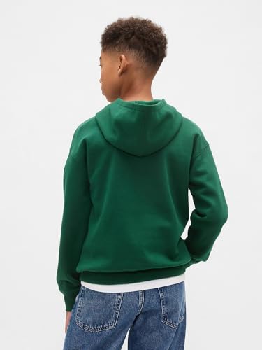 Image of GAP Boys' Logo Hoodie Hooded Sweatshirt