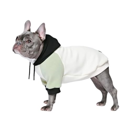 Spark Paws Hunde-Kapuzenpullover – Premium-Qualität, butterweich, hervorragender Komfort und Passform, beruhigende Fleece-Innenseite, geeignet für alle Rassen - Olivencreme - L