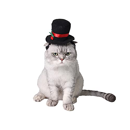 Sombrero de Disfraz Divertido para Mascotas