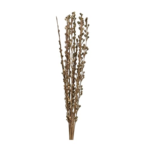 Ramo natural de palitos secos Moti de 10 tallos miniatura 1