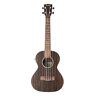 striped ebony top - striped ebony bands and bottom mahogany neck - maple binding - satin finish - electronics UK-300TR rosewood fingerboard and bridge NuBone GraphTech Nut and Saddle Aquila Super Nylgut strings