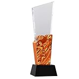 HLUONGTN Trophäen Preistrophäe Für Badminton Auszeichnungen Für Badminton-Meisterschaftsspiele Souvenirs Für Studentengruppen Trophäe Für Badminton-Einzel- Und Doppelwettbewerbe/Copper/8X29Cm