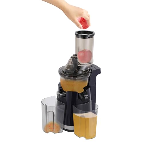 250W Electric Juicer Machine with 2 Cups, Tabletop Fruit Juicer, Compact Juicing Maker, Press Juicer for Making Vegetable Juices,Fruit Juices