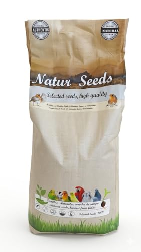 PIUMER Alpiste Canadiense Limpio para Canarios y Pequeñas Aves, Semillas Naturales, Bolsa de 5 kg