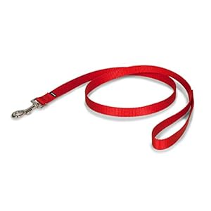 PetSafe Nylon Dog Leash – Strong, Durable, Traditional Style Leash with Easy to Use Bolt Snap – 3/4 in. x 4 ft., Red