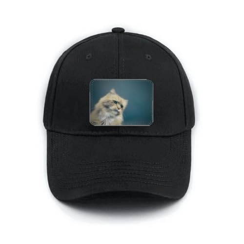 Casquette de baseball noire avec chat bleu pour vos sorties ensoleillées