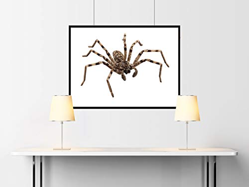 Preisvergleich Produktbild Goobay NT 500 DrNetzteilucker