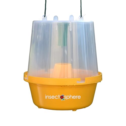 Piège à phéromone ou Attractif Contre Les Mouches des Fruits